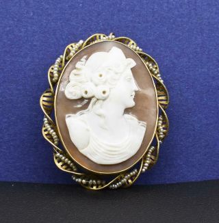 $1,  499 Antique 10k Y.  Gold Victorian Lady Shell Cameo Seed Pearl Brooch Pin 9g 2