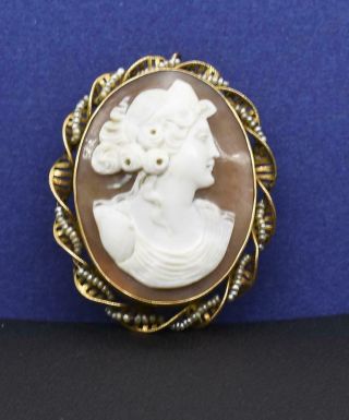 $1,  499 Antique 10k Y.  Gold Victorian Lady Shell Cameo Seed Pearl Brooch Pin 9g 3