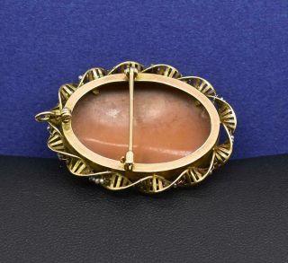 $1,  499 Antique 10k Y.  Gold Victorian Lady Shell Cameo Seed Pearl Brooch Pin 9g 4