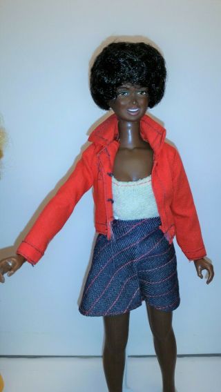 Vintage Kenner Black AA Skye Doll with Afro Clothes Friend of Dusty 2
