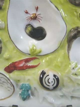 Antique UPW Union Porcelain 1881 OYSTER PLATE Frog Lobster Seaweed - TBR 2