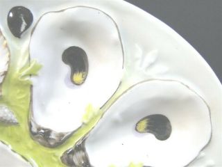 Antique UPW Union Porcelain 1881 OYSTER PLATE Frog Lobster Seaweed - TBR 5