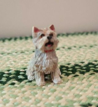 Dollhouse Miniature 1:24 Scale Dog By Igma Artisan Gail Morey,  Signed