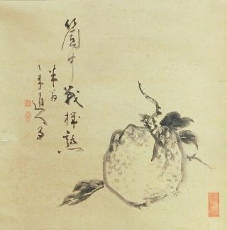 I738: Japanese Old Hanging Scroll.  Pomegranate Of Sumi - E W/calligraphy.