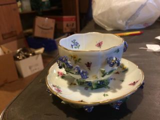 Antique 19th Century Meissen Porcelain Cup & Saucer Bugs Applied Floral ' s 2