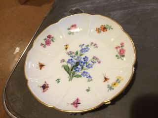 Antique 19th Century Meissen Porcelain Cup & Saucer Bugs Applied Floral ' s 5