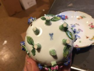 Antique 19th Century Meissen Porcelain Cup & Saucer Bugs Applied Floral ' s 6