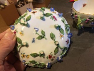 Antique 19th Century Meissen Porcelain Cup & Saucer Bugs Applied Floral ' s 8