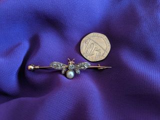 Antique Diamond Set Fly Brooch