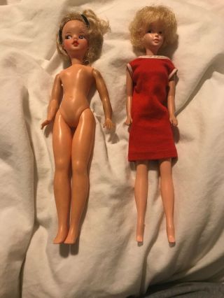 Vintage 1960s 12 " Ideal Tammy Doll & Mary Makeup Doll.