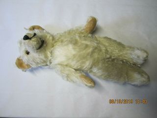 Antique 14 " Glass Eyed Teddy Bear With Movable Limbs (old)