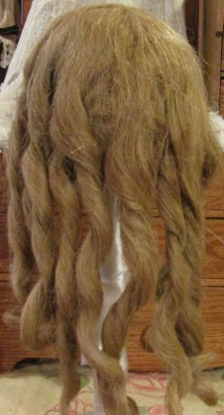 G185 Antique 11 " Human Hair Long Doll Wig For Antique Bisque Doll