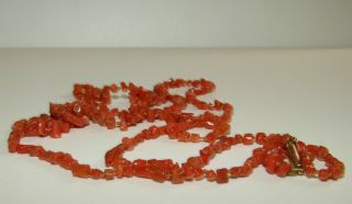 Long Antique Victorian Natural Coral Bead Necklace With Rolled Gold Clasp