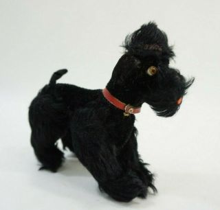 Steiff Vintage Black Poodle Dog Glass Eyes No Button/tag