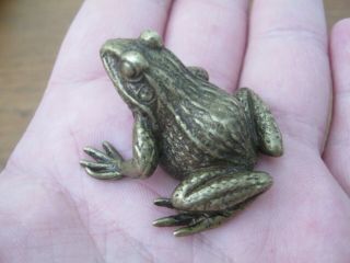 Well Detailed Lost Wax Hot Cast Miniature Bronze Frog Austrian Style