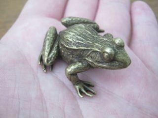 Well Detailed Lost Wax Hot Cast Miniature Bronze Frog Austrian Style 2