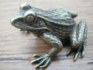 Well Detailed Lost Wax Hot Cast Miniature Bronze Frog Austrian Style 3