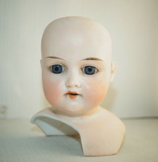 Antique Armand Marseille Bisque Doll Head 8 " Cir Germany 370 Am 3/0dep 1800 