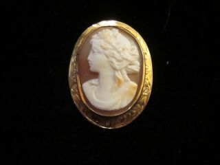 Antique Shell Cameo Hand Carved Pretty Lady - Brooch - Marked 9k