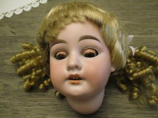 Antique Bisque German Doll Armand Marseille Dolly Face A.  M.  10 D.  E.  P 1894