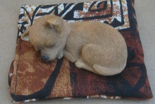 Sandra Brue Sandicast Sleeping Puppy Dog Chihuahua On Pad Figurine
