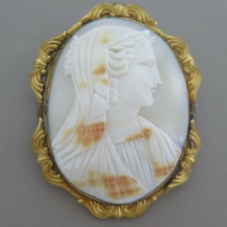 Antique Victorian Carved Shell Cameo 2.  5” Large Gold Gilt Brooch Pin Pendant