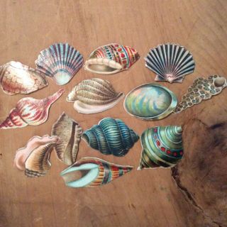 Antique Assorted Die Cuts - Sea Shells,  Kids,  Cupids With Heart,  3 Small Friendship
