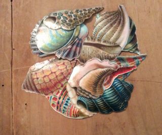 Antique Assorted Die Cuts - Sea Shells,  Kids,  Cupids With Heart,  3 Small Friendship 2