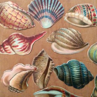 Antique Assorted Die Cuts - Sea Shells,  Kids,  Cupids With Heart,  3 Small Friendship 4