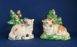 ANTIQUE 19THC STAFFORDSHIRE POTTERY FIGURES OF SHEEP C1840 - DERBY - EX D.  RICE 2