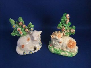 ANTIQUE 19THC STAFFORDSHIRE POTTERY FIGURES OF SHEEP C1840 - DERBY - EX D.  RICE 3
