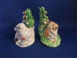ANTIQUE 19THC STAFFORDSHIRE POTTERY FIGURES OF SHEEP C1840 - DERBY - EX D.  RICE 7
