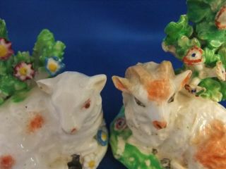 ANTIQUE 19THC STAFFORDSHIRE POTTERY FIGURES OF SHEEP C1840 - DERBY - EX D.  RICE 8