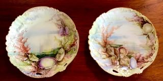 Two Antique Hand Painted Seascape Limoges D&c France Majolica 1883 Plates