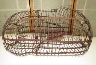 Antique Live Catch Animal Trap Vintage Primitive Wire Cage Early Piece