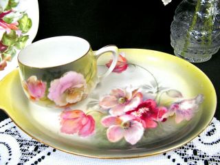 Rs Prussia Germany Tea Cup And Saucer Snack Plate Poppy Floral Teacup Snack Set