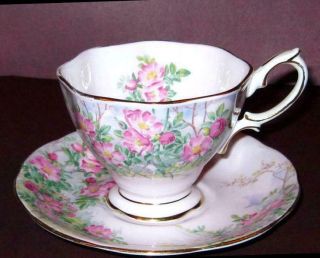 Vintage Royal Albert Bone China " Wild Rose " Pink English Tea Cup And Saucer Set