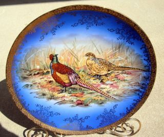 Stunning Stw Bavaria Germany Porcelain Game Bird Pheasant Charger Plate