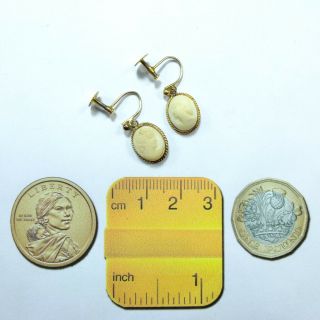 Antique Art Deco 9ct Gold Carved Cameo Screw Back Earrings Marked Wbs 9ct 2.  3g