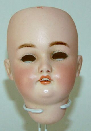 Antique Bisque Doll Head Simon & Halbig Pierced Ears Cm Bergmann 5