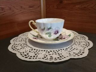 Vintage Signed Shelley Pansy Bone China Teacup/saucer Set Made In England