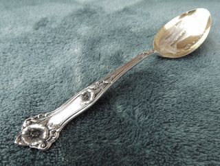 Morning Glory By Alvin 5 " Sterling Souvenir Spoon