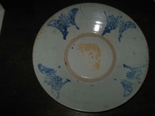 Ming Dynasty Chinese Blue And White Butterfly Plate