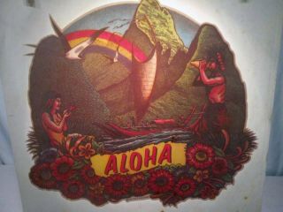 Nos Vtg T - Shirt Iron On Heat Transfer 70s Aloha Hawaiian Flowers Rats Hole 1979