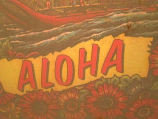 NOS Vtg T - Shirt Iron On Heat Transfer 70s ALOHA Hawaiian Flowers Rats Hole 1979 3