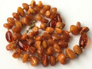 Natural Antique Baltic Vintage Amber Old Butterscotch Beads Necklace 31.  02 Gr
