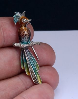 Gorgeous Vintage Enamelled Sterling Silver Tropical Bird Brooch - Jewellery.