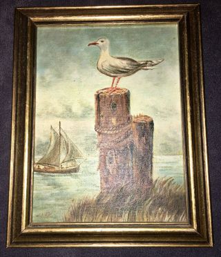 Vintage Oil On Artist Board Seagull One - Of - A - Kind Painting Signed 7.  5x9.  5 Framed