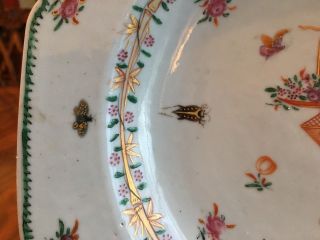 A Rare Chinese Famille Rose Export Porcelain Plate with Flowers & Insects. 5