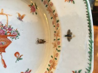 A Rare Chinese Famille Rose Export Porcelain Plate with Flowers & Insects. 6